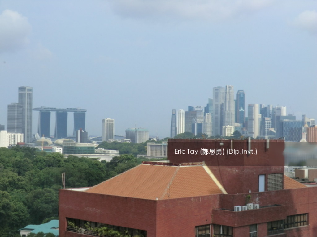 Cairnhill Residences (D9), Apartment #202067892